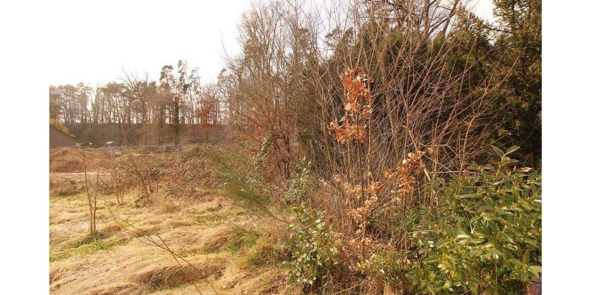 Einfamilienhaus Nürnberg Lohhof - 4 Zimmer, 91 m&sup2;, 369.000&euro; | Angebot:25770720