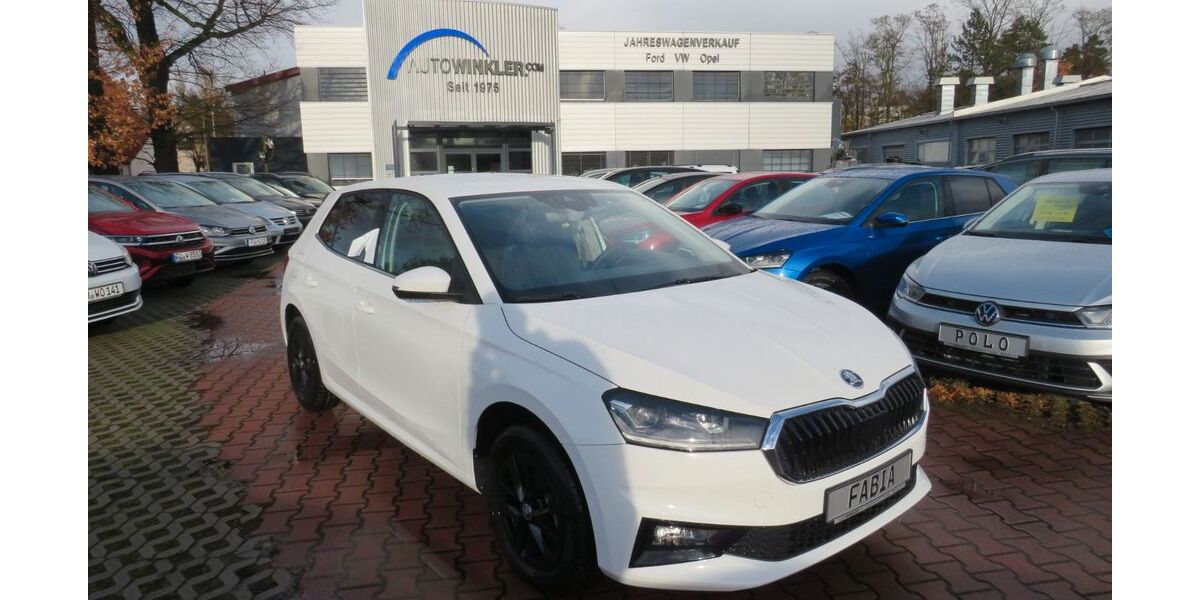 Skoda Fabia 29.111 km 16.990 &euro; Nürnberg 90431