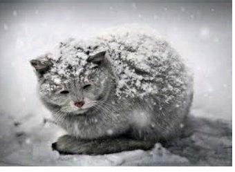 Etagenwohnung Nürnberg Erlenstegen - 1 Zimmer, 69 m&sup2;, 700&euro; | Angebot:25843178