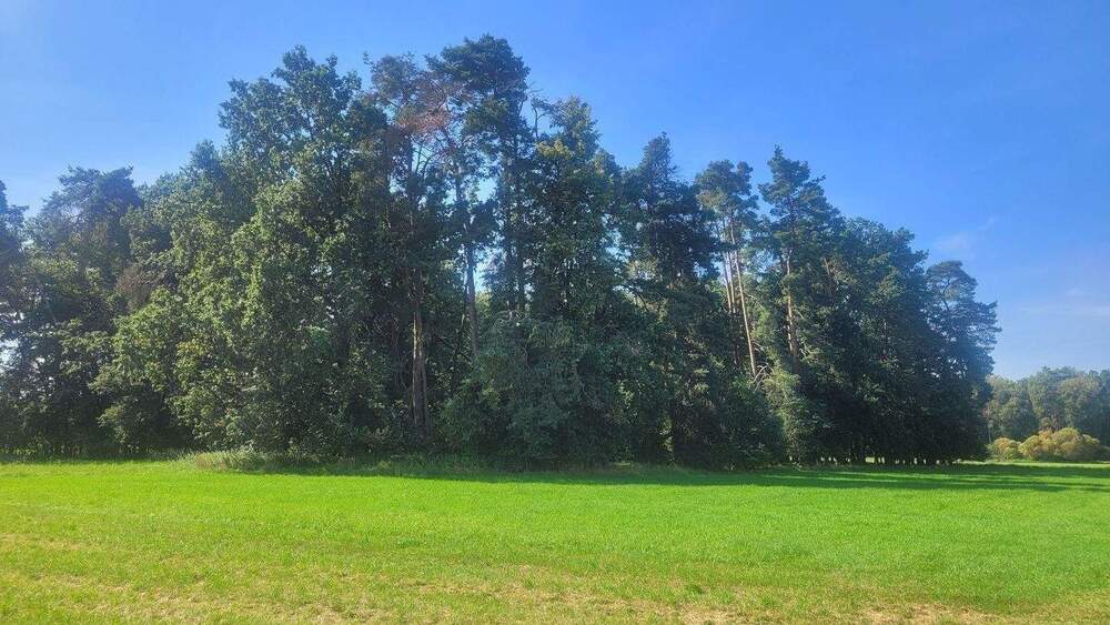 Grundstück Büchenbach Aurau - 50.000&euro; | Angebot:25778780