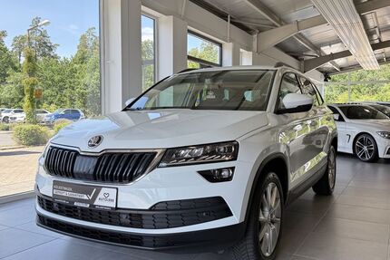 Skoda Karoq 76.599 km 19.990 &euro; Wendelstein 90530