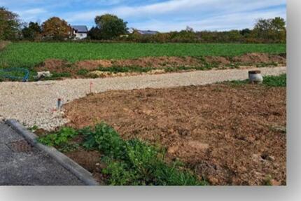 Haus Adelsdorf - 7 Zimmer, 157 m&sup2;, 415.000&euro; | Angebot:25416838