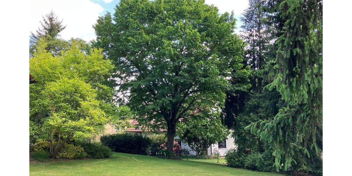 Mehrfamilienhaus, Wohnhaus Büchenbach - 670.000&euro; | Angebot:25674298