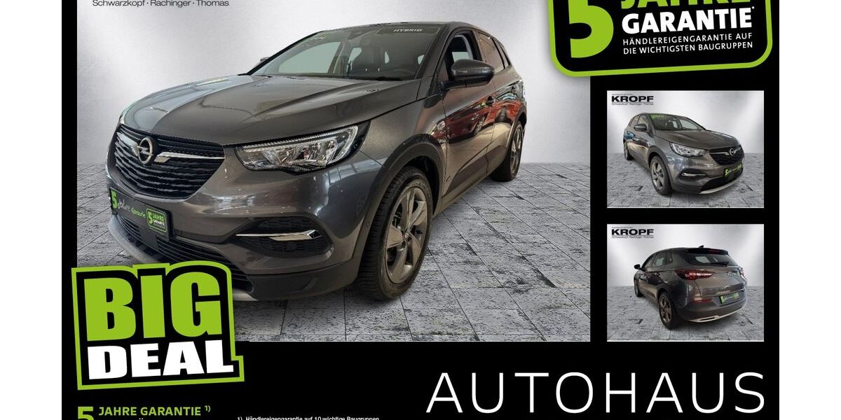 Opel Grandland (X) 20.877 km 22.390 &euro; Forchheim 91301
