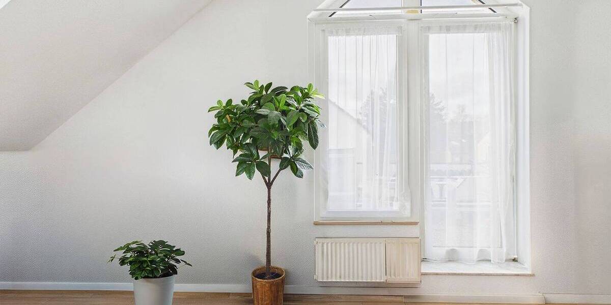 Etagenwohnung Fürth Oberfürberg - 2 Zimmer, 72 m&sup2;, 295.000&euro; | Angebot:25926546