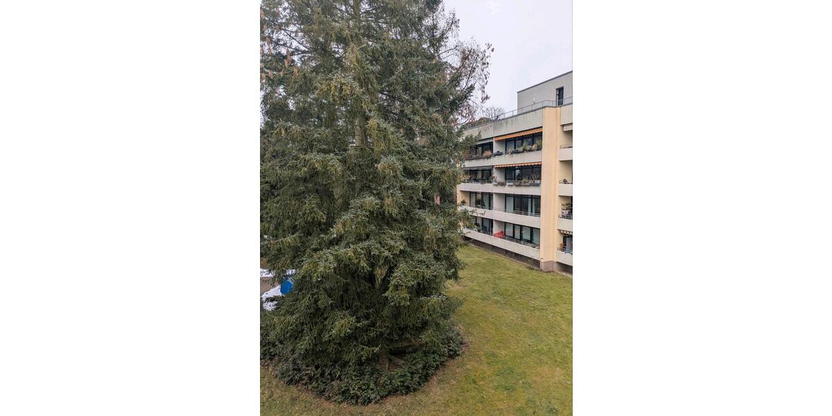 Dachgeschoßwohnung Fürth Atzenhof - 2 Zimmer, 64 m&sup2;, 249.000&euro; | Angebot:25379488