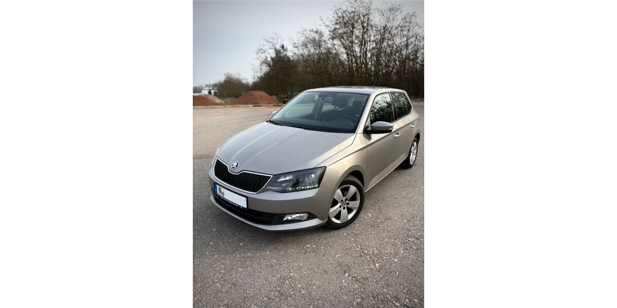 Skoda Fabia 84.000 km 8.500 &euro; Fürth 90766