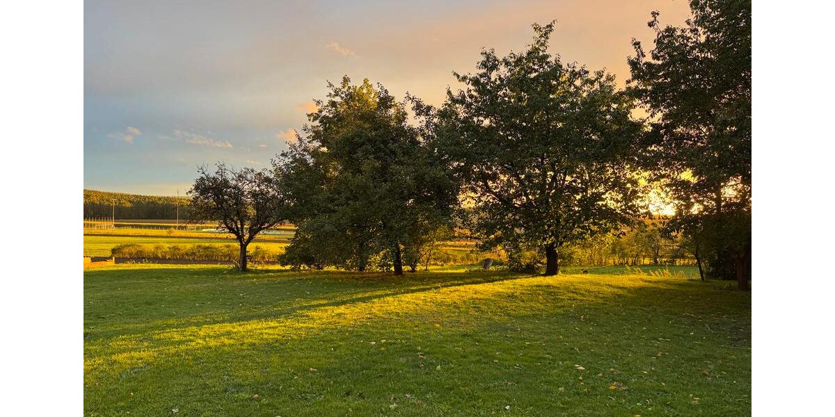 Terrassenwohnung Schwabach - 4 Zimmer, 190 m&sup2;, 1.900&euro; | Angebot:25794968