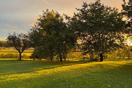 Wohnung Schwabach - 4 Zimmer, 190 m&sup2;, 1.900&euro; | Angebot:25794968