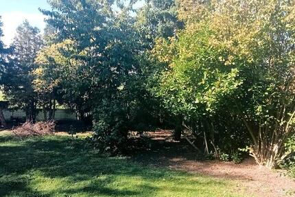 Wohnung Heilsbronn - 4 Zimmer, 98 m&sup2;, 980&euro; | Angebot:25936634