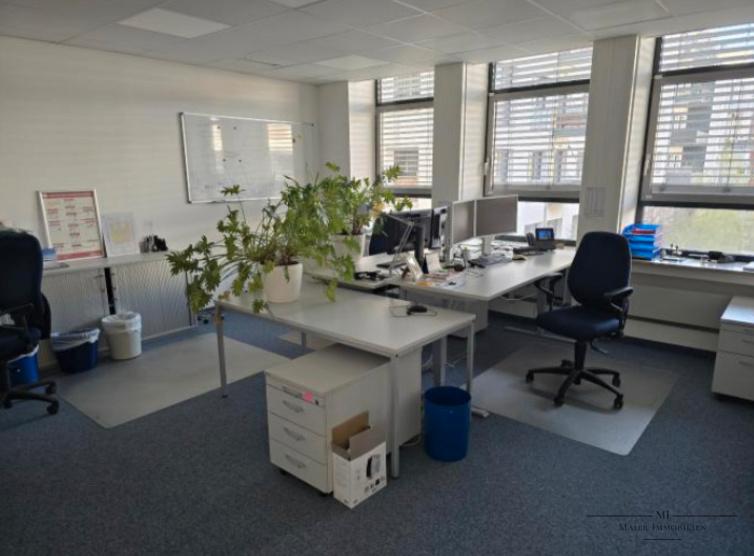 Gewerbeobjekt Nürnberg Eberhardshof - 12&euro; | Angebot:21486760