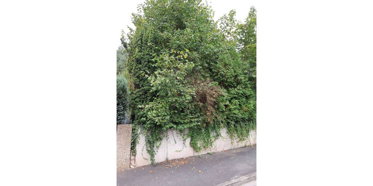 Einfamilienhaus Zirndorf Bronnamberg - 9 Zimmer, 160 m&sup2;, 500.000&euro; | Angebot:25662809