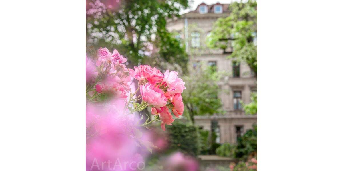 Gewerbeobjekt Fürth Innenstadt - 3.000&euro; | Angebot:25734435