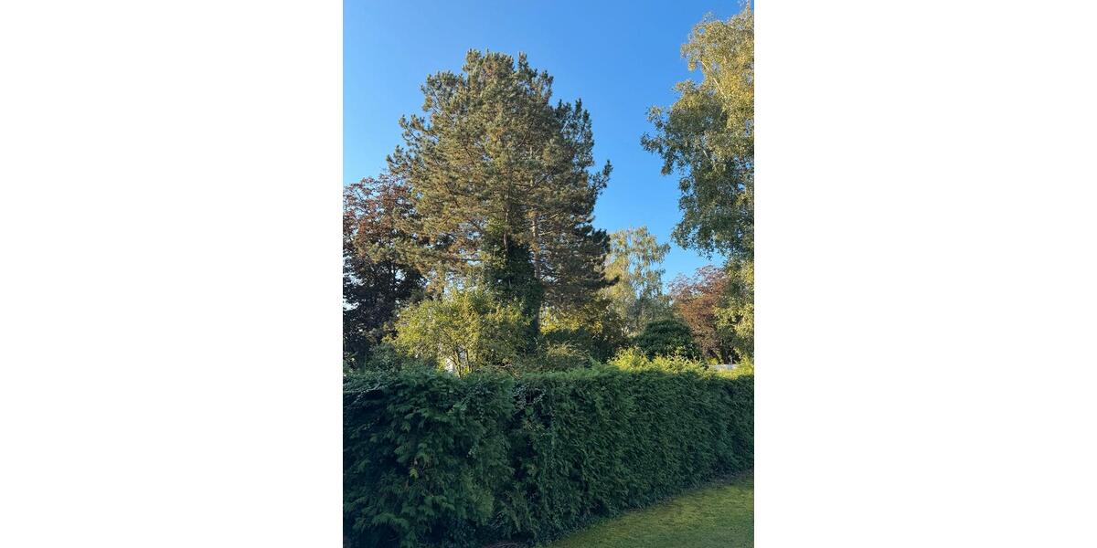 Reihenhaus Nürnberg Zerzabelshof - 5 Zimmer, 144 m&sup2;, 760.000&euro; | Angebot:25891865