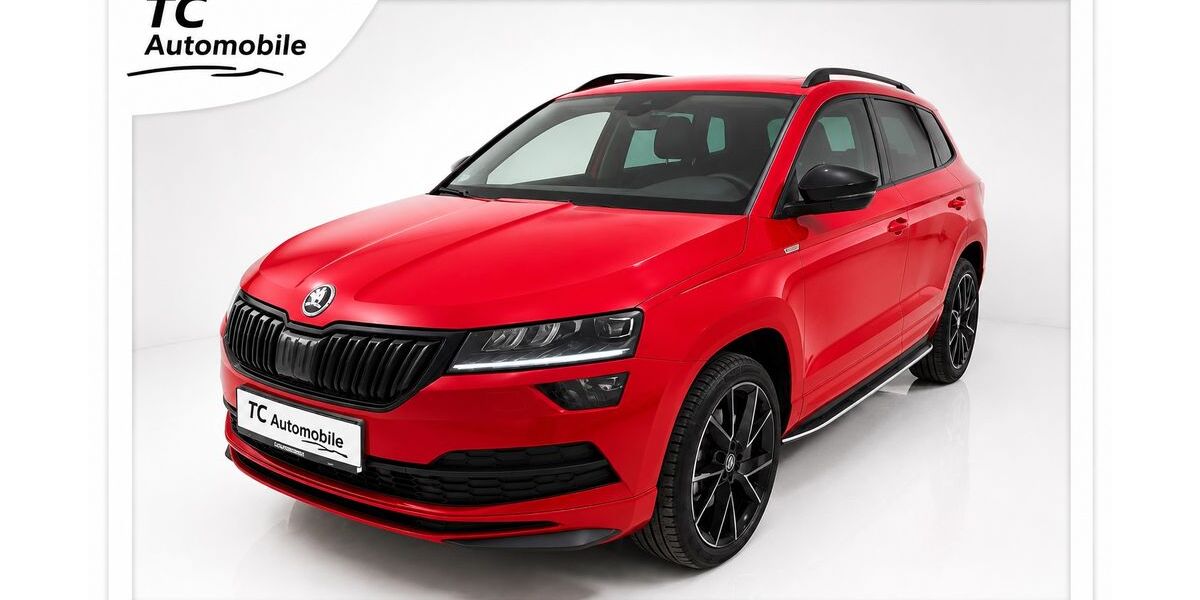 Skoda Karoq 146.329 km 19.490 &euro; Fürth 90765
