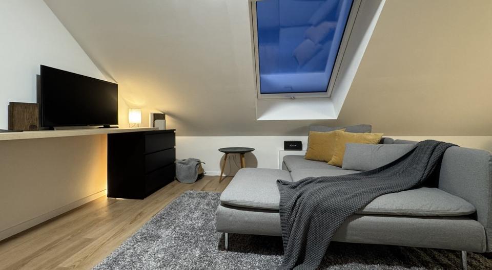 Dachgeschoßwohnung Erlangen Am Anger - 1 Zimmer, 27 m&sup2;, 900&euro; | Angebot:25170209