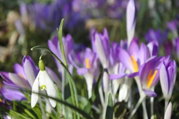 Einfamilienhaus Seukendorf - 8 Zimmer, 250 m&sup2;, 583.000&euro; | Angebot:26034005