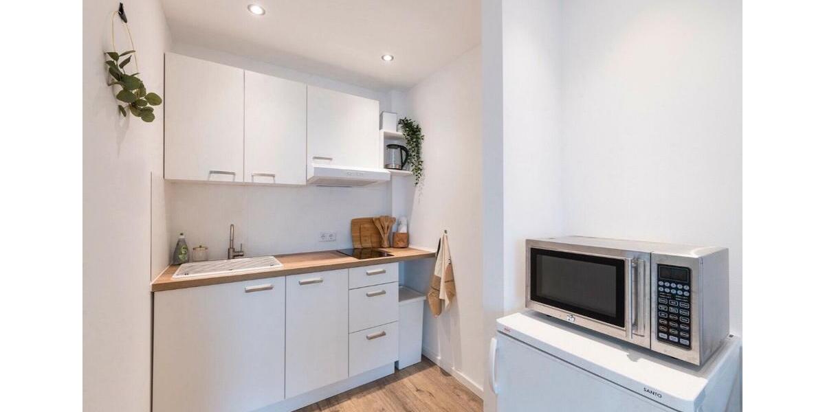 Erdgeschoßwohnung Nürnberg Rabus - 1 Zimmer, 30 m&sup2;, 830&euro; | Angebot:25232311