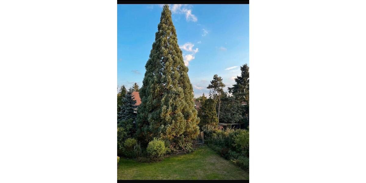 Einfamilienhaus Leinburg - 9 Zimmer, 235 m&sup2;, 635.000&euro; | Angebot:25978109