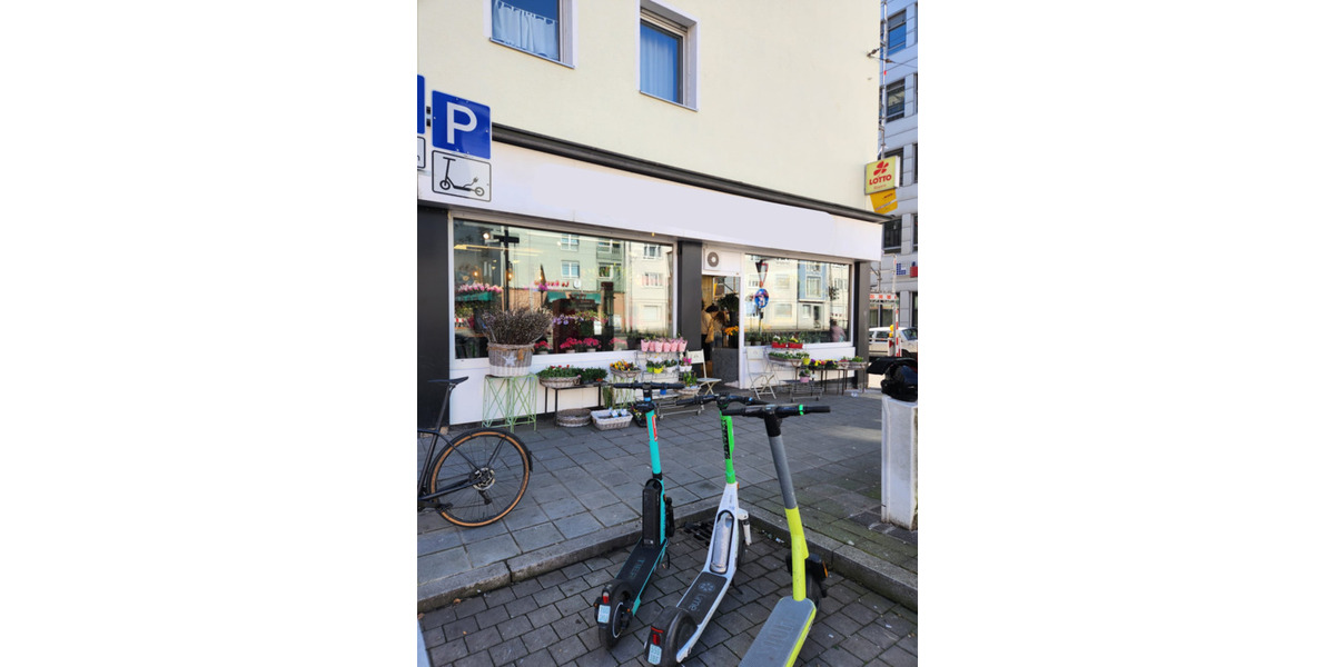 Gewerbeobjekt Nürnberg Gärten b Wöhrd - 390.000&euro; | Angebot:25689324