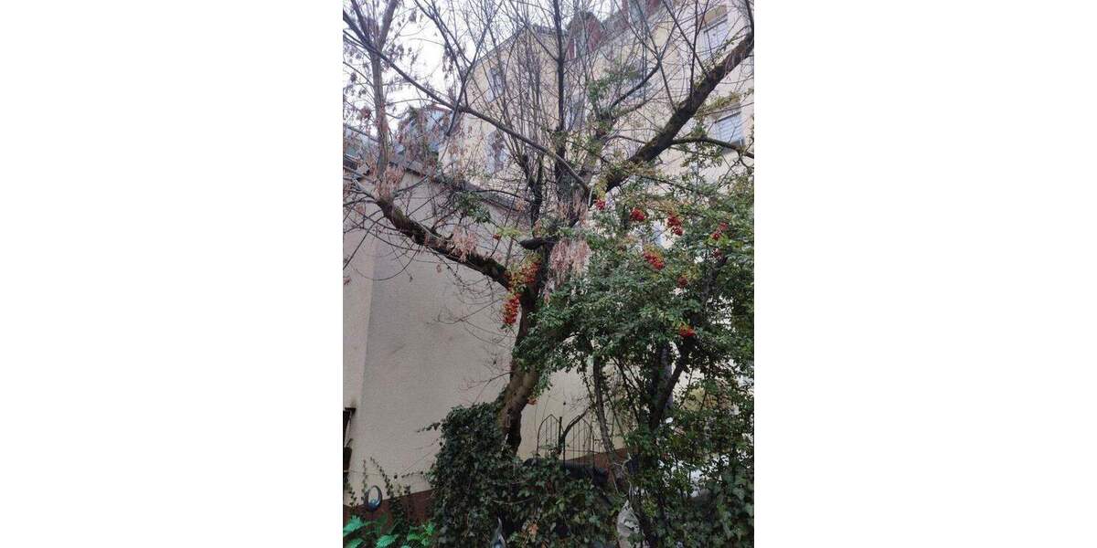 Etagenwohnung Fürth Espan - 2 Zimmer, 60 m&sup2;, 169.000&euro; | Angebot:25705042