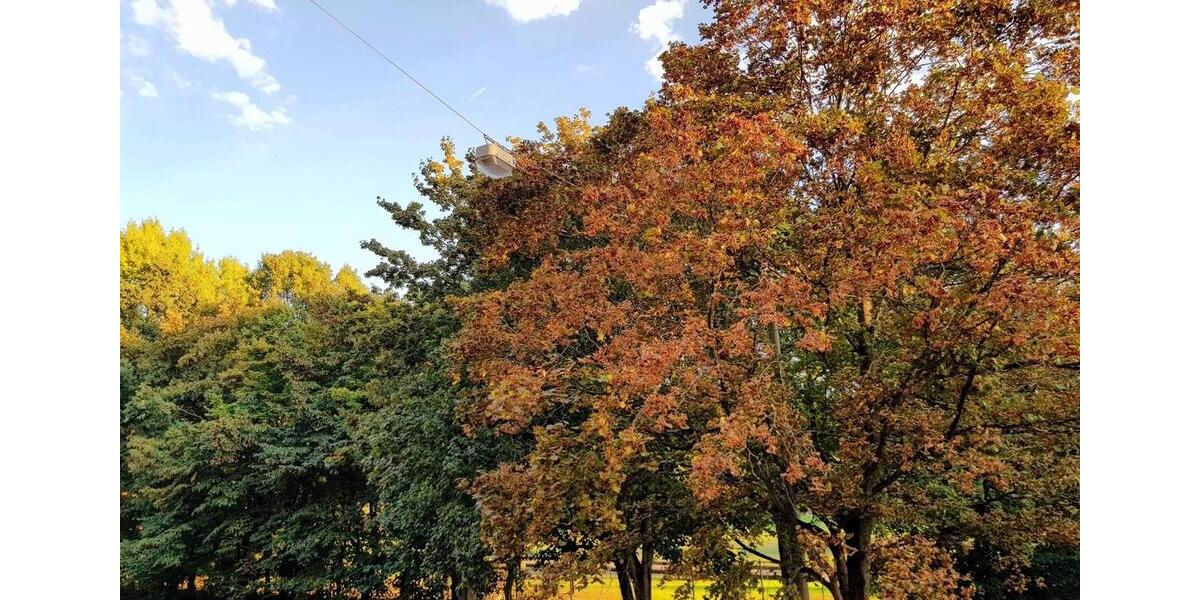 Etagenwohnung Nürnberg Kleinweidenmühle - 2 Zimmer, 60 m&sup2;, 800&euro; | Angebot:25351877