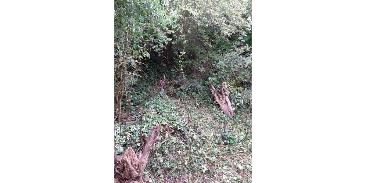 Einfamilienhaus Zirndorf Bronnamberg - 9 Zimmer, 160 m&sup2;, 500.000&euro; | Angebot:25662809