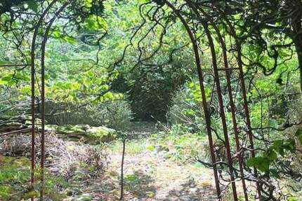 Grundstück Weißenohe - 270.000&euro; | Angebot:25662847