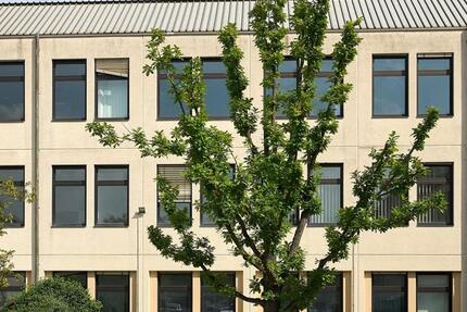 Gewerbeobjekt Nürnberg Hasenbuck - 9&euro; | Angebot:23805989