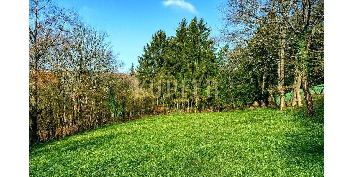 Grundstück Forchheim - 650.000&euro; | Angebot:25663664