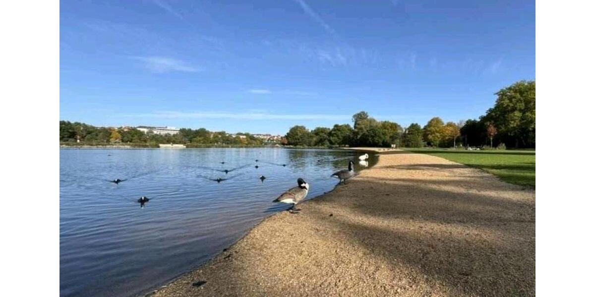 Etagenwohnung Nürnberg Altstadt, St. Lorenz - 1 Zimmer, 30 m&sup2;, 116.000&euro; | Angebot:25795361