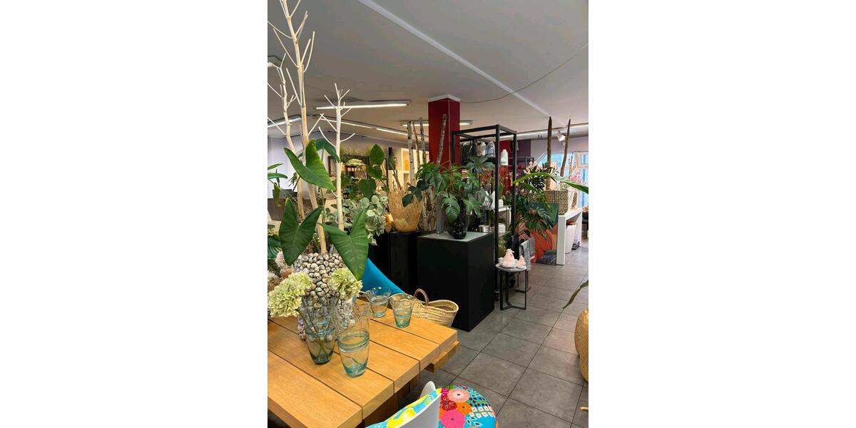 Gewerbeobjekt Stein - 2.200&euro; | Angebot:24080754