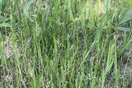 Grundstück Fürth Bislohe - 549.800&euro; | Angebot:25373259