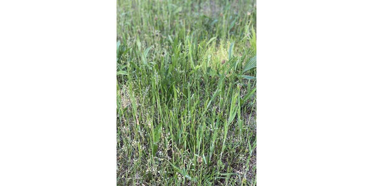 Grundstück Fürth Bislohe - 549.800&euro; | Angebot:25373259