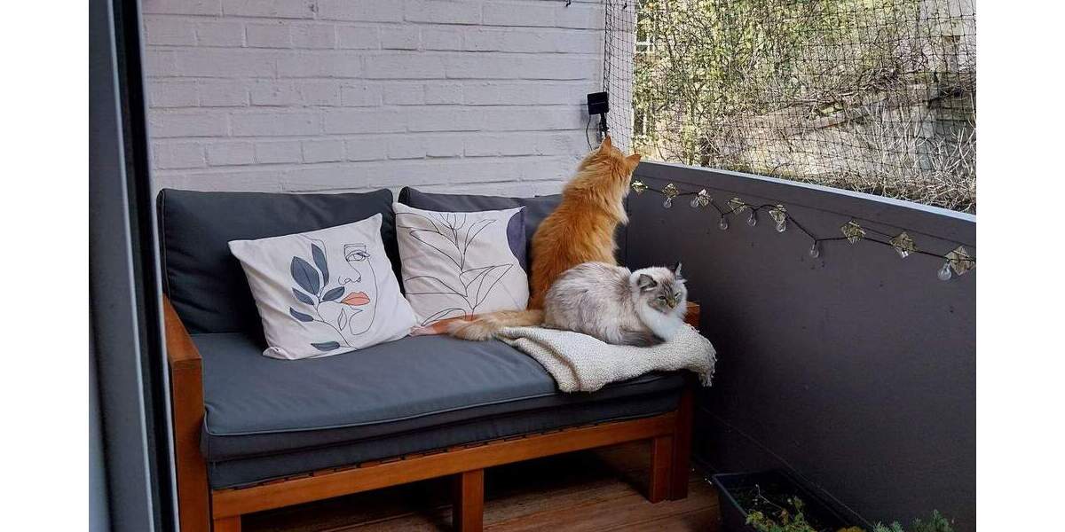 Etagenwohnung Nürnberg Lichtenhof - 4 Zimmer, 343.000&euro; | Angebot:25669478