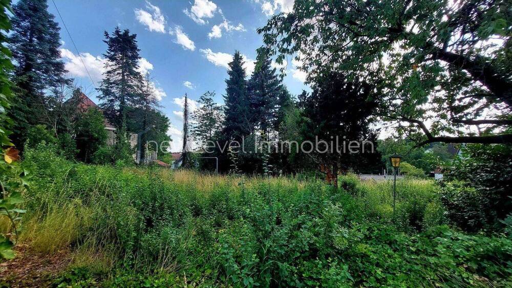 Grundstück Neunkirchen am Sand Neunkirchen - 970.000&euro; | Angebot:25734295
