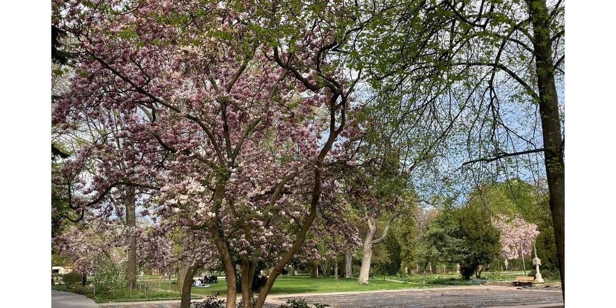 Gewerbeobjekt Fürth Innenstadt - 4 Zimmer, 359.000&euro; | Angebot:25797305