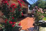 Mehrfamilienhaus, Wohnhaus Höchstadt an der Aisch - 689.000&euro; | Angebot:26844334