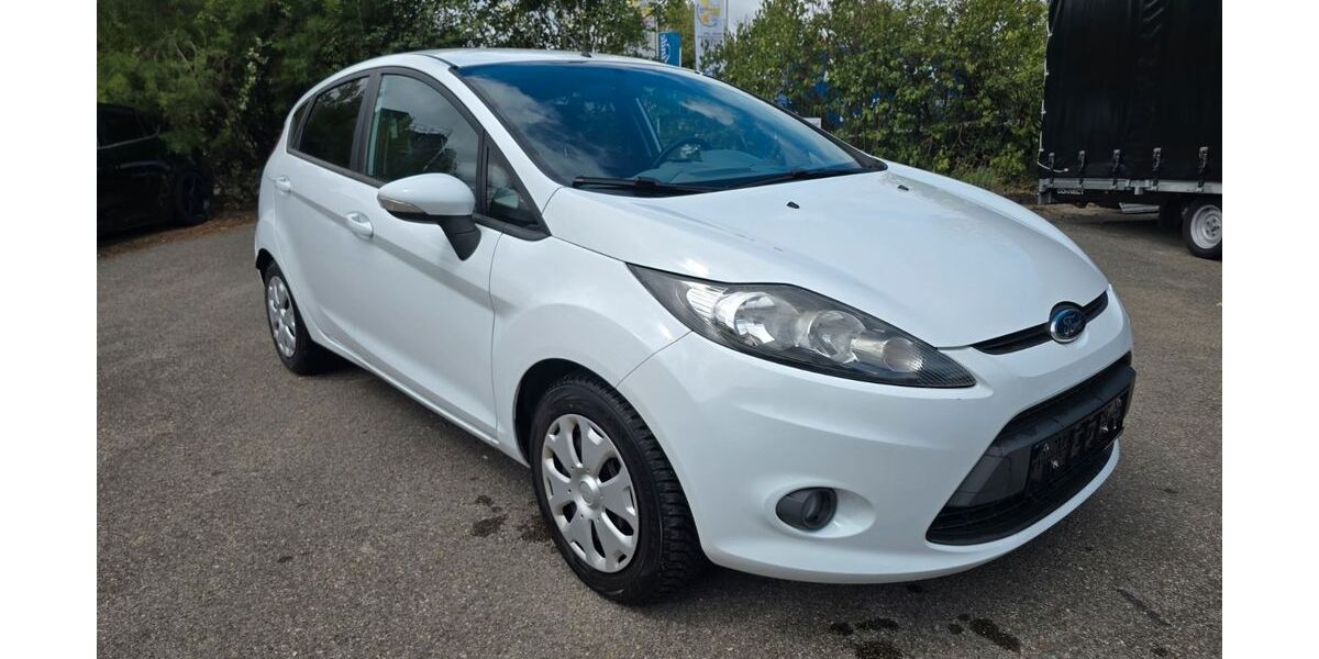 Ford Fiesta 134.214 km 2.490 &euro; Wendelstein 90530