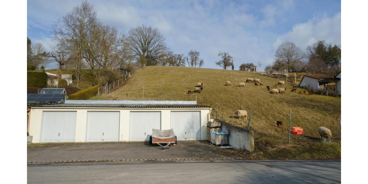 Baugrundstück mit 4 Einzelgaragen für Einfamilienhaus mit landwirtschaftlicher Fläche - Grundstück Wilhelmsdorf 10809575181 | Angebot:19515759