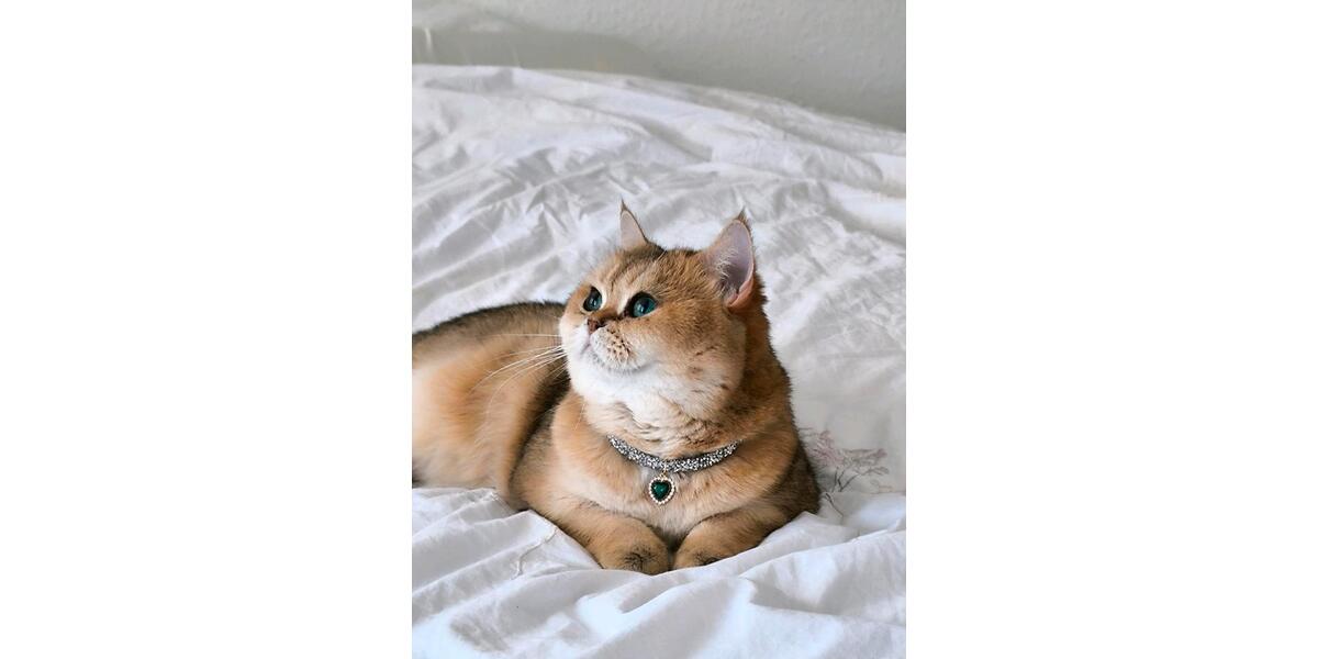 Dachgeschoßwohnung Nürnberg Kleinweidenmühle - 1 Zimmer, 62 m&sup2;, 865&euro; | Angebot:25941763