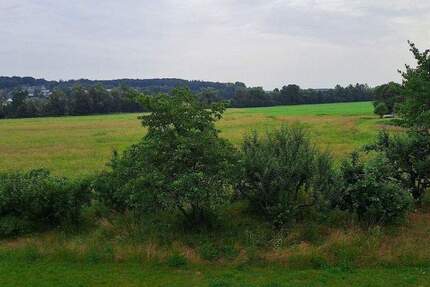 Wohnung Adelsdorf - 4 Zimmer, 90 m&sup2;, 1.040&euro; | Angebot:25741981