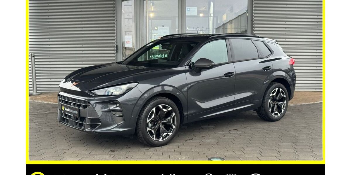 Cupra Terramar 11.800 km 33.580 &euro; Erlangen 91058