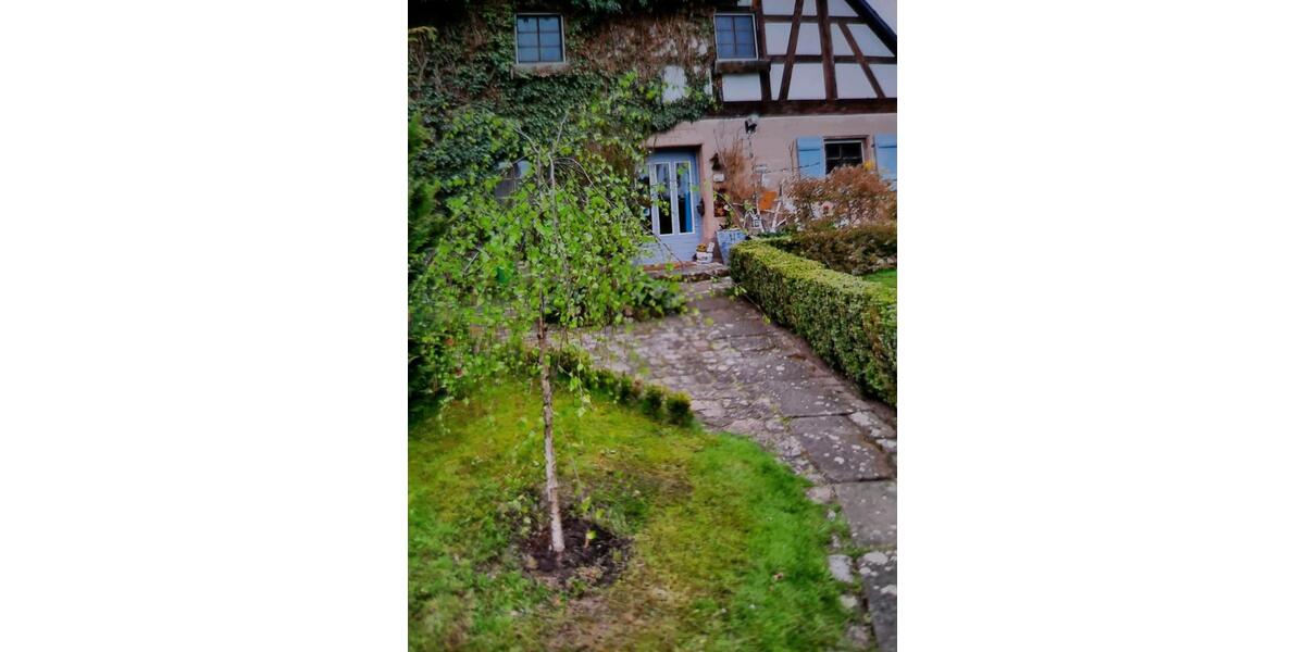 Einfamilienhaus Schwanstetten - 7 Zimmer, 260 m&sup2;, 890.000&euro; | Angebot:23431180