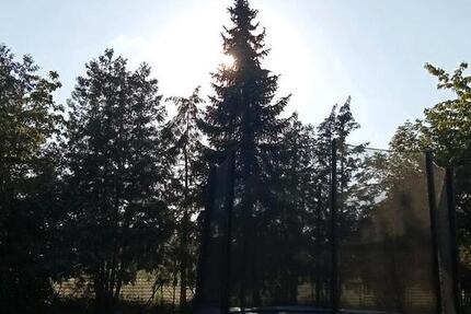 Wohnung Heilsbronn - 980&euro; | Angebot:25932572