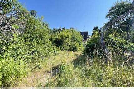 Grundstück Lauf - 238.000&euro; | Angebot:22114087