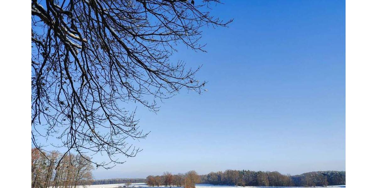 Doppelhaushälfte Oberreichenbach - 6 Zimmer, 196 m&sup2;, 2.490&euro; | Angebot:25665850