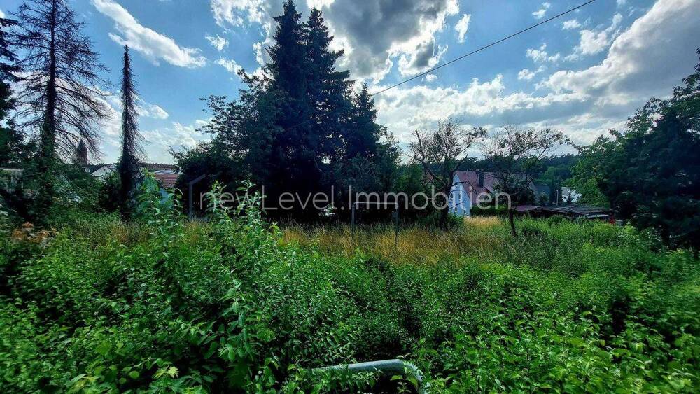 Grundstück Neunkirchen am Sand Neunkirchen - 970.000&euro; | Angebot:25734295