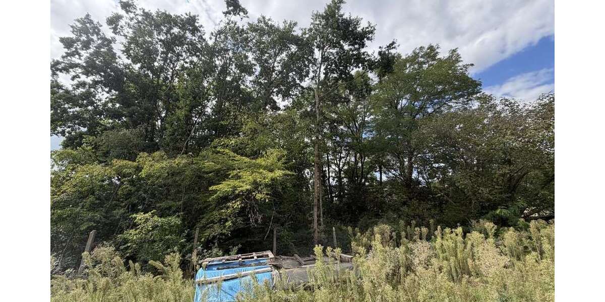 Grundstück Wendelstein / Großschwarzenlohe Großschwarzenlohe - 970.000&euro; | Angebot:27512333