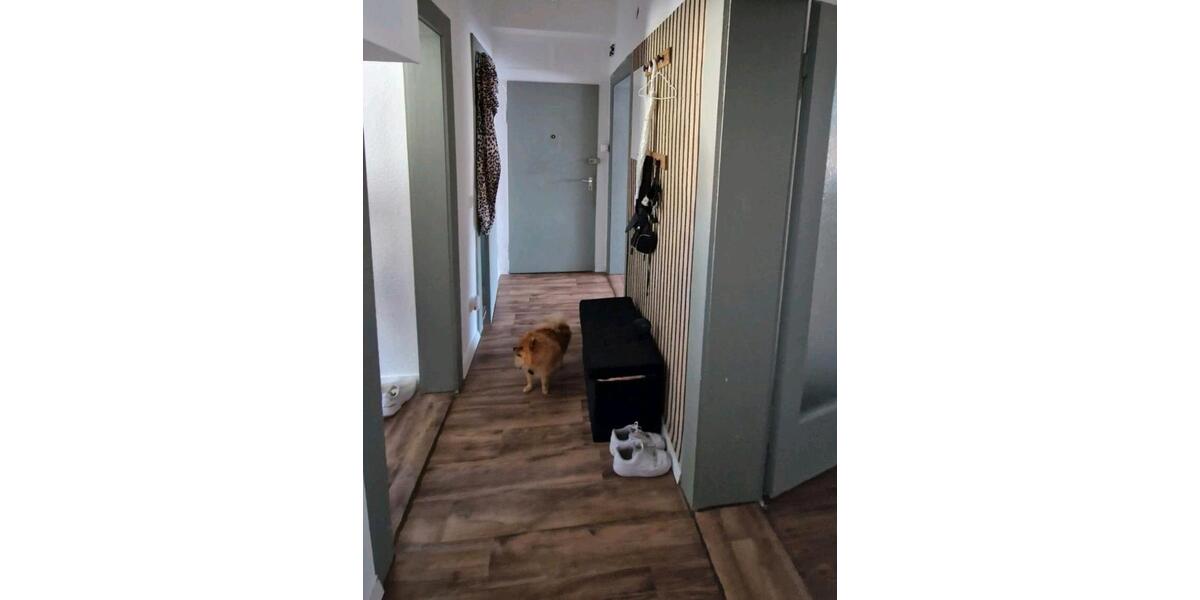 Etagenwohnung Nürnberg Hasenbuck - 2.5 Zimmer, 56 m&sup2;, 728&euro; | Angebot:25299980